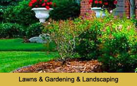 Lawns & Gardening & Landscaping